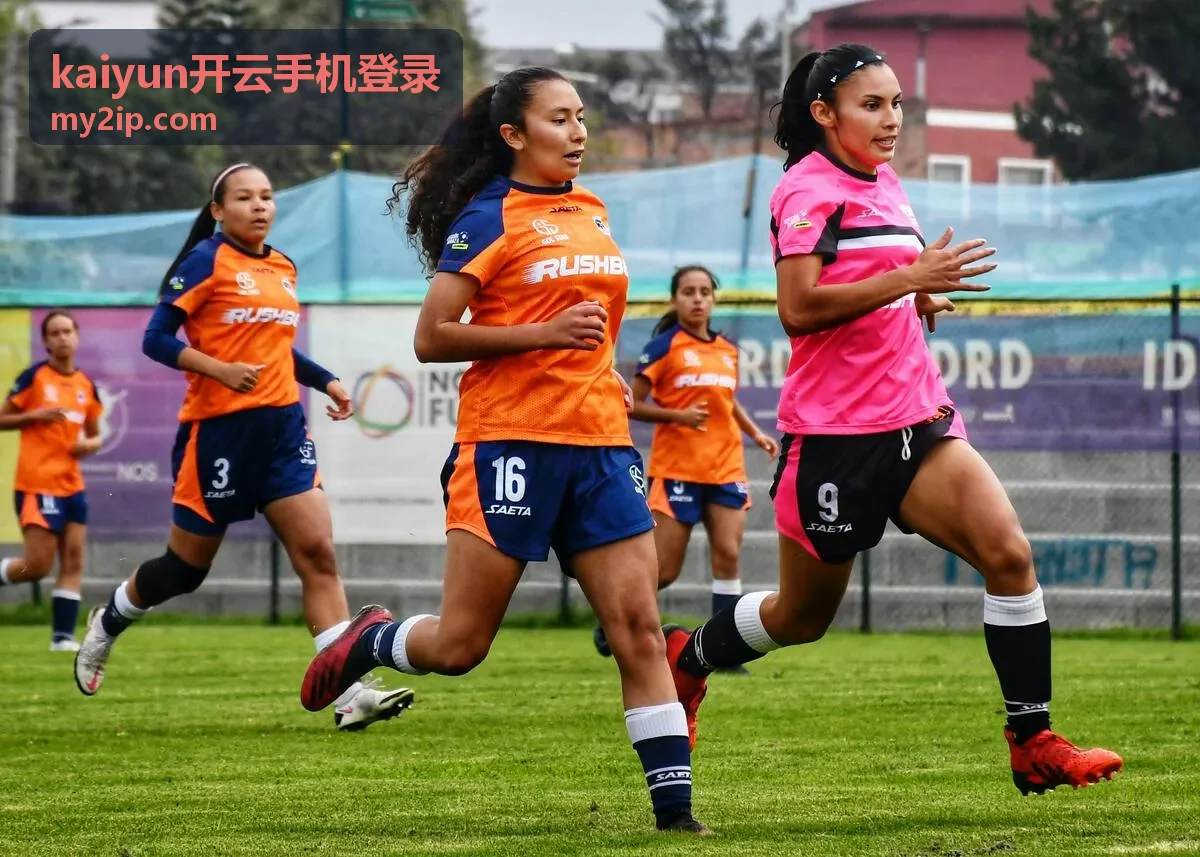 kaiyun开云手机登录联系二维码位